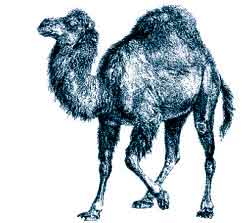 perl_logo
